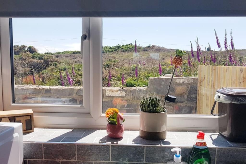 Willow Snug - Bay Cosy Holiday home *